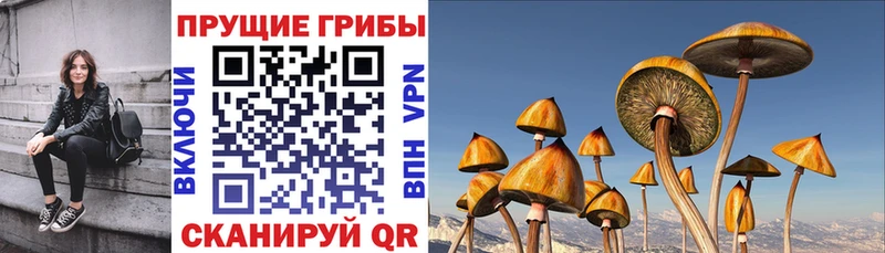 Псилоцибиновые грибы ЛСД  Североморск 