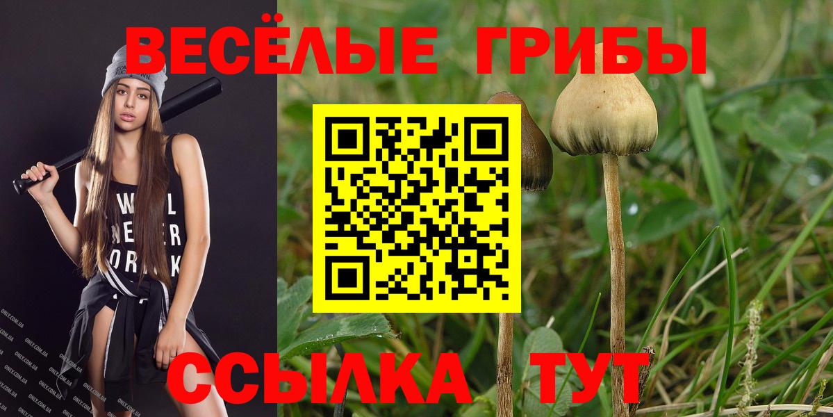 магазин продажи наркотиков  Вход с VPN  Североморск  Псилоцибиновые грибы Magic Shrooms  Псилоцибиновые грибы Magic Shrooms 