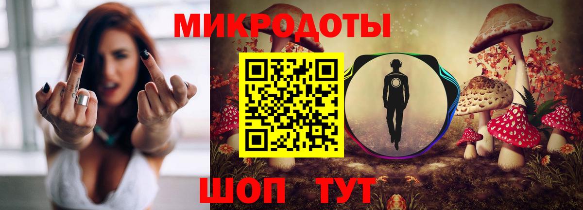 Псилоцибиновые грибы Psilocybe Североморск